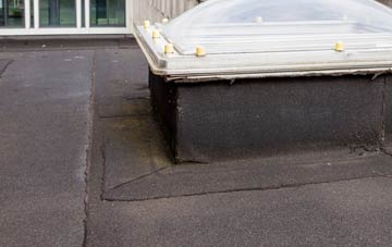disadvantages of Barry Dock flat roofs