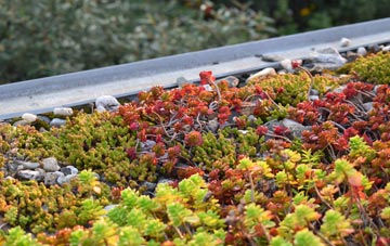 the cost of Barry Dock green roof installation