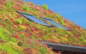 Barry Dock living roof systems