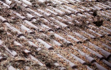 Barry Dock roof cleaning companies