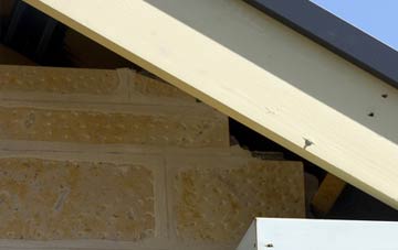 soffit repair Barry Dock