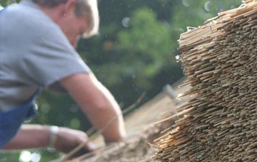 professional Barry Dock thatchers